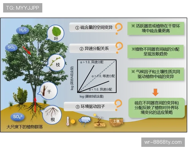 阿尔瓦雷斯面对顶级中卫的空间寻找策略解析